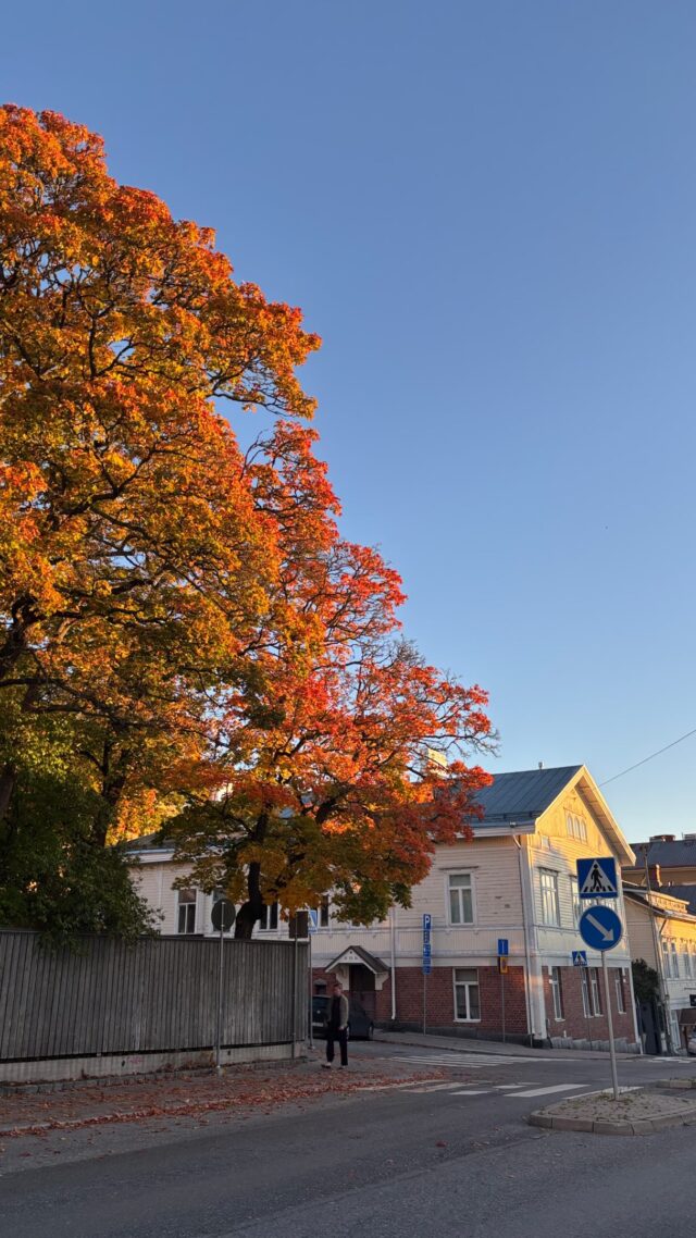 Syksy🧡

#visitturku
