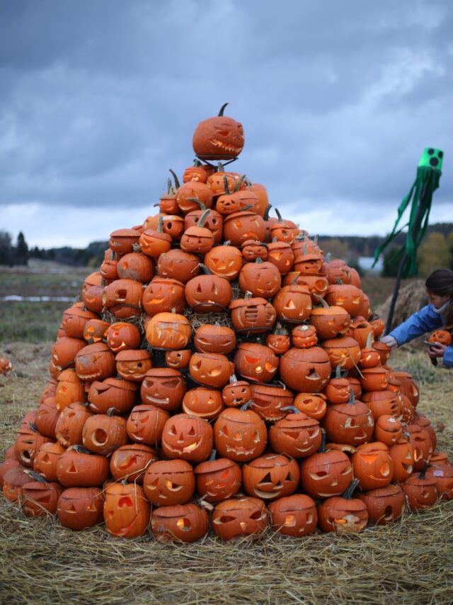 🎃🧡JOKO HUOMASIT? Salon Kurpitsapuisto avautuu tänään!🧡🎃

Syksyn odotetuin kurpitsasesonki on täällä!😍🍂 Salon ihastuttava Kurpitsapuisto avaa ovensa TÄNÄÄN perjantaina 9.10. ja aivan uudessa paikassa!✨

UUSI SIJAINTI: Vaskiontie 50, Halikko

Kurpitsapuisto löytyy tänä vuonna Rannikon Puutarhan kasvihuoneilta. Luvassa on toinen toistaan upeampia kurpitsoja, taidokkaita kaiverruksia, valoa, värejä ja kivaa syystunnelmaa! 🎃🕯️🍁 Täydellinen kohde koko perheen kesken!

Kurpitsapuisto on avoinna päivittäin kello 10-22, 18.10. asti. Vapaa pääsy!

Kenen kanssa lähdet ihastelemaan tämän vuoden kurpitsaloistoa?🎃🧡

Psst! Kuvat aiemmilta vuosilta.

@kurpitsaviikot 
@rannikonpuutarha 

#visitsalo
#kurpitsapuisto
#rannikonpuutarha